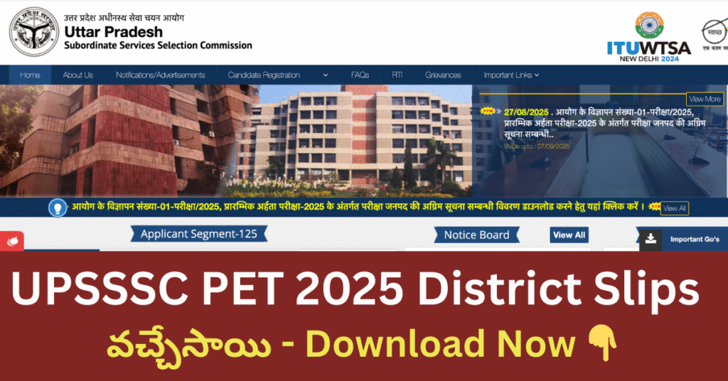 UPSSSC PET