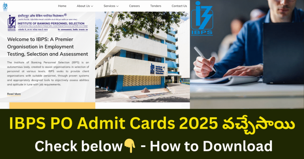 IBPS PO